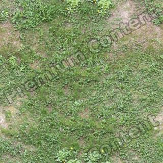 High Resolution Seamless Grass Texture 0001